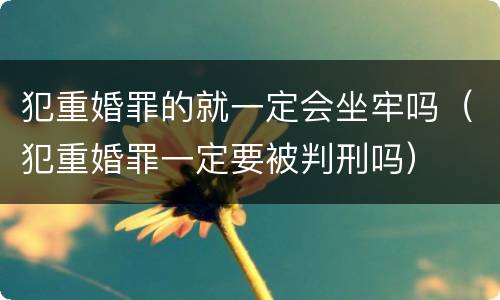 犯重婚罪的就一定会坐牢吗（犯重婚罪一定要被判刑吗）