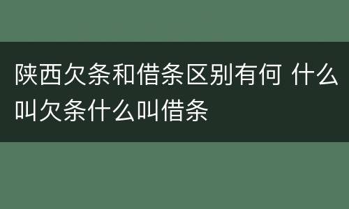 陕西欠条和借条区别有何 什么叫欠条什么叫借条