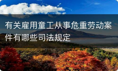 有关雇用童工从事危重劳动案件有哪些司法规定