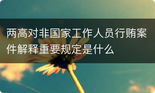 两高对非国家工作人员行贿案件解释重要规定是什么