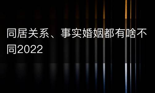同居关系、事实婚姻都有啥不同2022