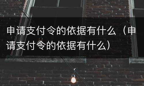申请支付令的依据有什么（申请支付令的依据有什么）