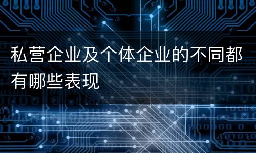 私营企业及个体企业的不同都有哪些表现