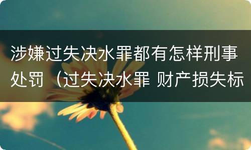涉嫌过失决水罪都有怎样刑事处罚（过失决水罪 财产损失标准）