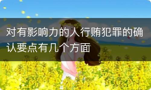 对有影响力的人行贿犯罪的确认要点有几个方面