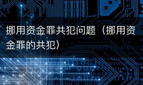 挪用资金罪共犯问题（挪用资金罪的共犯）