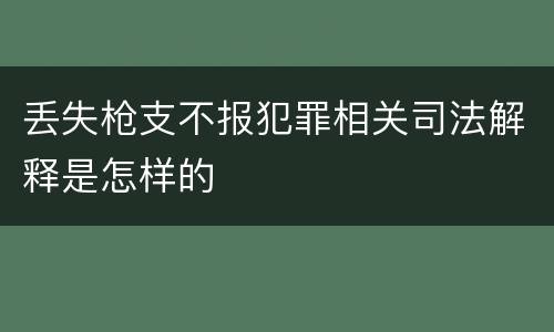 丢失枪支不报犯罪相关司法解释是怎样的