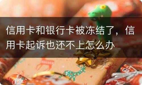信用卡和银行卡被冻结了，信用卡起诉也还不上怎么办
