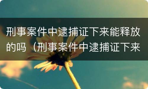 刑事案件中逮捕证下来能释放的吗（刑事案件中逮捕证下来能释放的吗知乎）