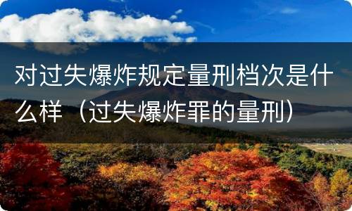 对过失爆炸规定量刑档次是什么样（过失爆炸罪的量刑）