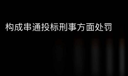 构成串通投标刑事方面处罚