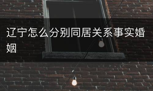 辽宁怎么分别同居关系事实婚姻