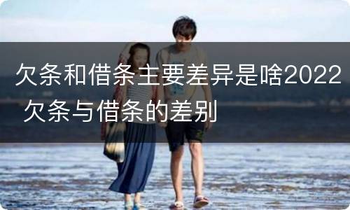 欠条和借条主要差异是啥2022 欠条与借条的差别