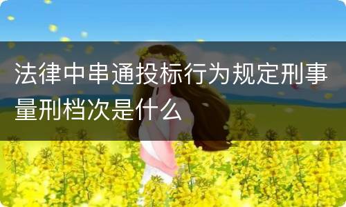 法律中串通投标行为规定刑事量刑档次是什么