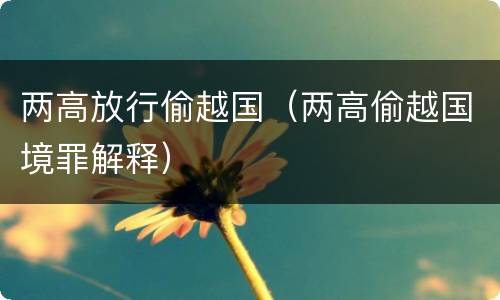 两高放行偷越国（两高偷越国境罪解释）