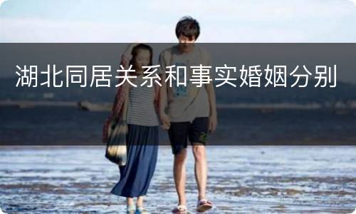 湖北同居关系和事实婚姻分别