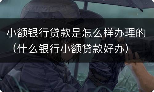 小额银行贷款是怎么样办理的（什么银行小额贷款好办）
