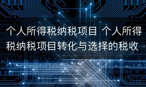 个人所得税纳税项目 个人所得税纳税项目转化与选择的税收筹划