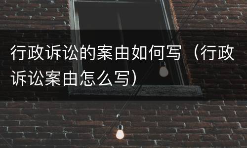 行政诉讼的案由如何写（行政诉讼案由怎么写）