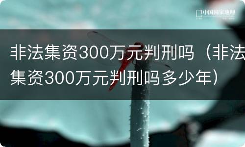 非法集资300万元判刑吗（非法集资300万元判刑吗多少年）