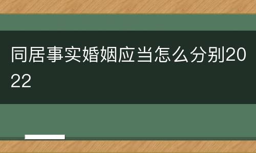 同居事实婚姻应当怎么分别2022