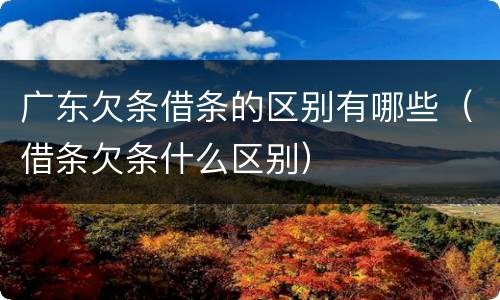 广东欠条借条的区别有哪些（借条欠条什么区别）