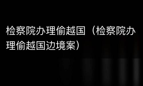 检察院办理偷越国（检察院办理偷越国边境案）