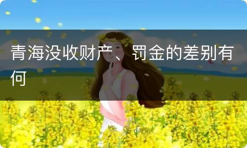 青海没收财产、罚金的差别有何