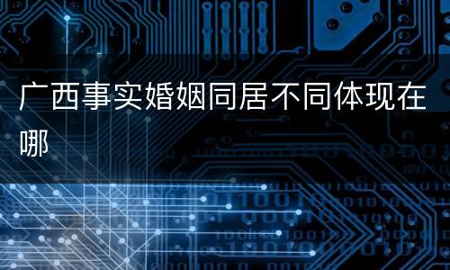 广西事实婚姻同居不同体现在哪