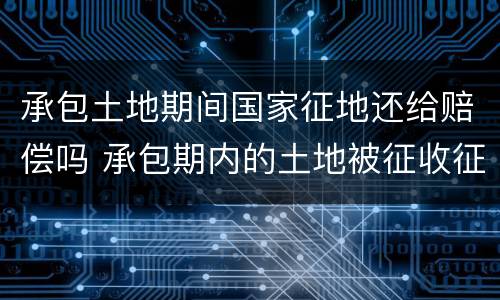 承包土地期间国家征地还给赔偿吗 承包期内的土地被征收征地补偿款应该付给谁