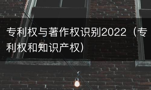 专利权与著作权识别2022（专利权和知识产权）