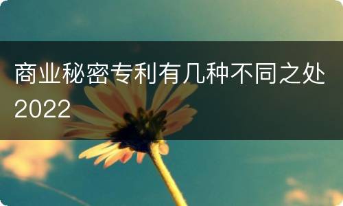 商业秘密专利有几种不同之处2022
