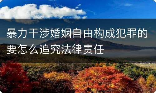 暴力干涉婚姻自由构成犯罪的要怎么追究法律责任