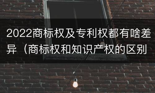 2022商标权及专利权都有啥差异（商标权和知识产权的区别）