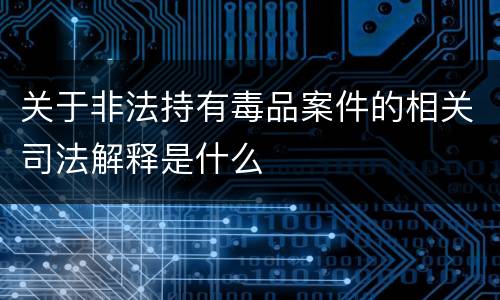 关于非法持有毒品案件的相关司法解释是什么
