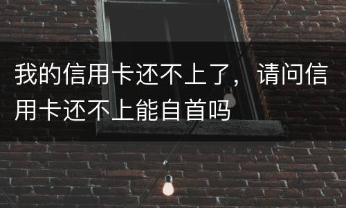 我的信用卡还不上了，请问信用卡还不上能自首吗