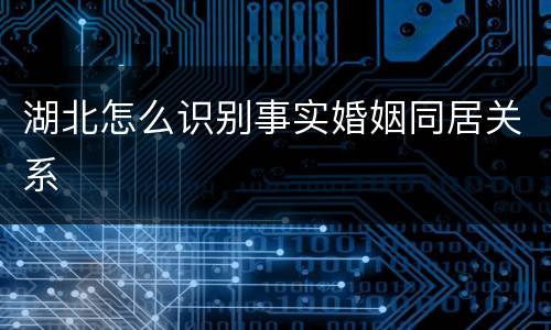 湖北怎么识别事实婚姻同居关系