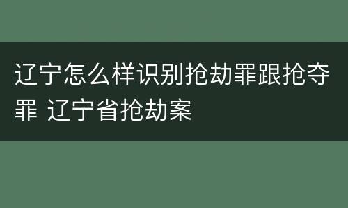 辽宁怎么样识别抢劫罪跟抢夺罪 辽宁省抢劫案