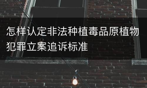 怎样认定非法种植毒品原植物犯罪立案追诉标准