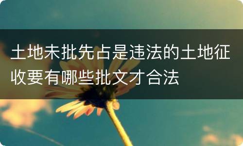 土地未批先占是违法的土地征收要有哪些批文才合法