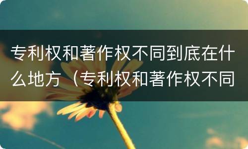 专利权和著作权不同到底在什么地方（专利权和著作权不同到底在什么地方可以查到）