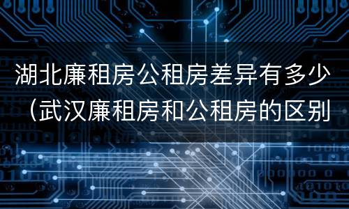 湖北廉租房公租房差异有多少（武汉廉租房和公租房的区别）