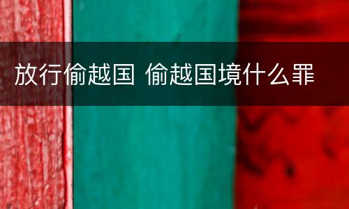 放行偷越国 偷越国境什么罪