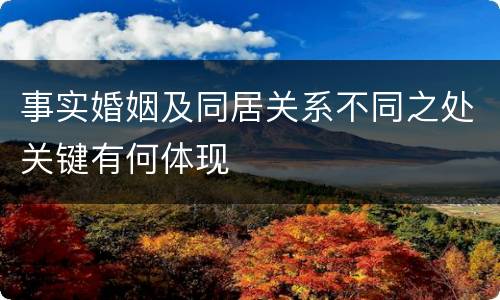 事实婚姻及同居关系不同之处关键有何体现
