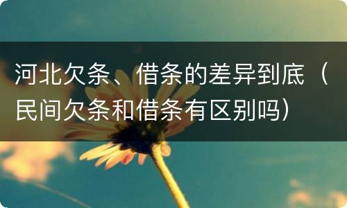 河北欠条、借条的差异到底（民间欠条和借条有区别吗）