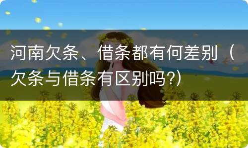 河南欠条、借条都有何差别（欠条与借条有区别吗?）