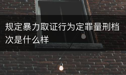 规定暴力取证行为定罪量刑档次是什么样
