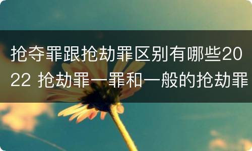 抢夺罪跟抢劫罪区别有哪些2022 抢劫罪一罪和一般的抢劫罪