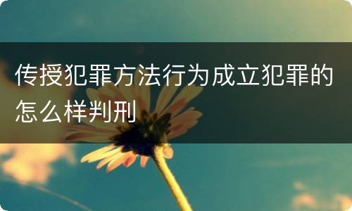 传授犯罪方法行为成立犯罪的怎么样判刑