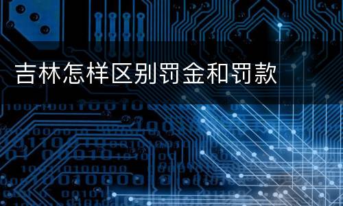 吉林怎样区别罚金和罚款